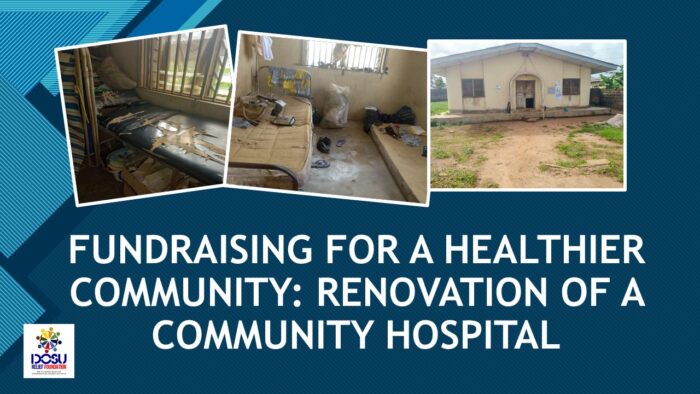 Fundraising Project For A Community Hospital Renovation: A Lifeline for the Underserved